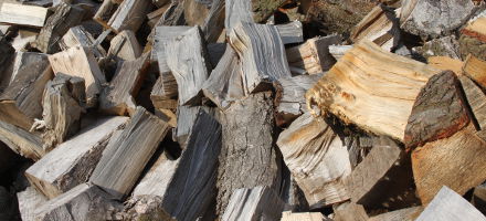 Firewood logs